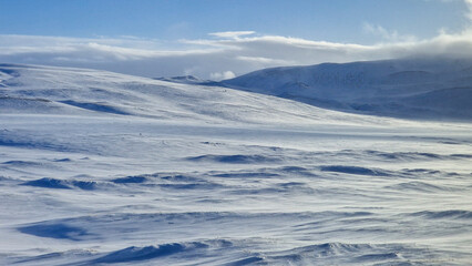 Fototapeta premium Field between snowy mountains in Iceland