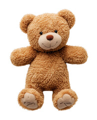Obraz premium Cute teddy bear isolated on a white background.