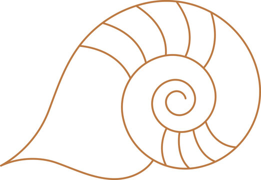 recommend clip art: Linear Retro Seashell Icon