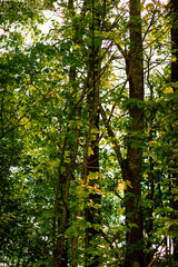 Paisaje natural en Oslo