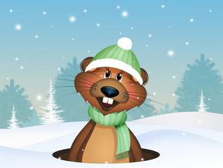 illustration of groundhog in hibernation in winter landscape