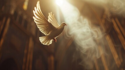 Flying dove image peace Holy Spirit