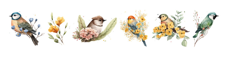 Watercolor bird collection. Animal illustration.
