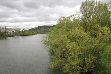 Main bei Veitshöchheim