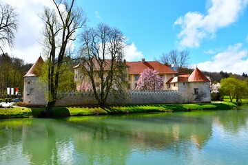 View of Otočec castle at the shore of Krka river in Dolenjska, Slovenia in spring with a pink blooming tree