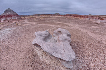 Wind Clam Sculptures in Petrified Forest AZ