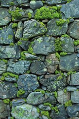 Moss growth on a stone wall