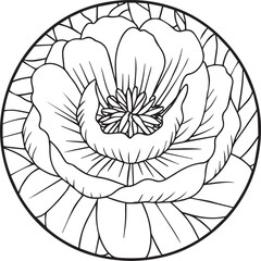 Peony coloring pages. Peony flower outline vector for coloring book