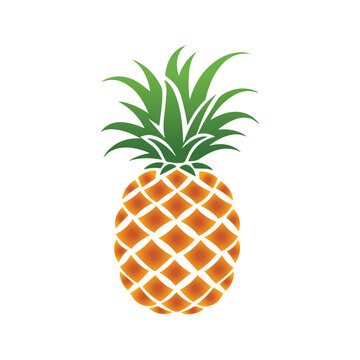 Pineapple natural food color icon. Freshness sweet art vector design.
