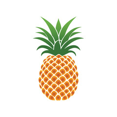 Pineapple natural food color icon. Freshness sweet art vector design.