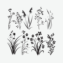 Set of different flower linen on white background. Vector black silhouettes of flowers isolated on a white background. Botanical arts. Hand drawn continuous line drawing of herbs, abstract flower.