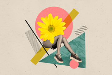 Creative collage photo sitting young woman legs daisy flower head yellow flourish blossom spring...