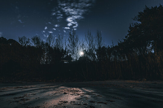Moonlight on the beach