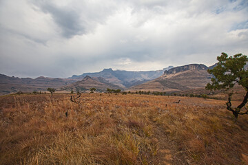 Fototapeta premium Drakensberg Mountain scene 15563