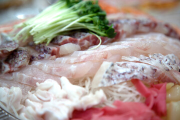 View of the sashimi on the plate