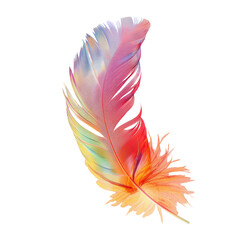 Vibrant feather displayed on transparent canvas, showcasing art in nature