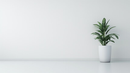 Minimalist with clean design on a white background, perfect for presentations