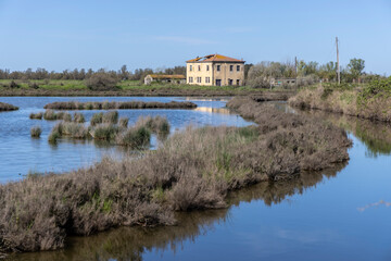 Landscape protection area named Valli di Comacchio in Italy, Europe