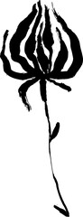 Dry Bruch Grunge Poppy Flower Silhouette