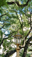 Old fashioned street light in a park in Buenos Aires, Argentina