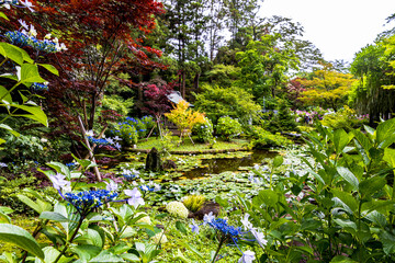 Fototapete bei efototapeten.de bestellen   