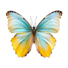 Fototapeta premium Beautiful colorful butterfly, isolated on transparent background.