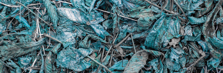 Dry leaves on the ground on an autumn day. Fallen leaves and dry branches on the ground. View from above. Flat layout.