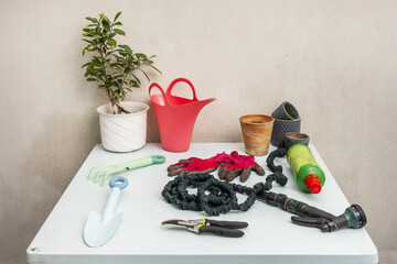 A light blue smooth metal table filled with gardening objects next to a pot of ficus benjamina, gloves, empty pots, a salmon-colored watering can, and a green hose