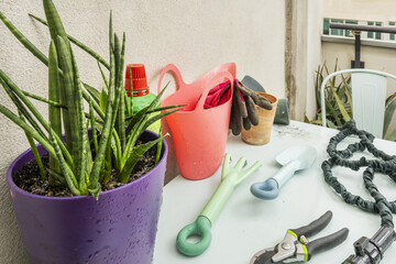 Empty flower pots, salmon-colored watering can, protective gardening gloves and a deep fuchsia...