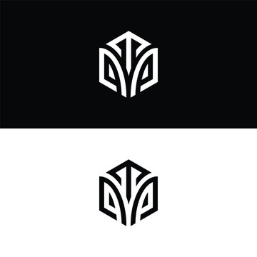 Initial letter TPP hexagon logo design, flourish, develop, natural, luxury, simple, finance logo, real estate.
