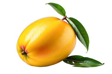 Mango isolated. PNG transparency. 