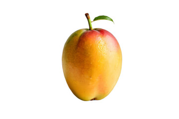 Mango isolated. PNG transparency. 