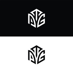 Initial letter TPG hexagon logo design, flourish, develop, natural, luxury, simple, finance logo, real estate.