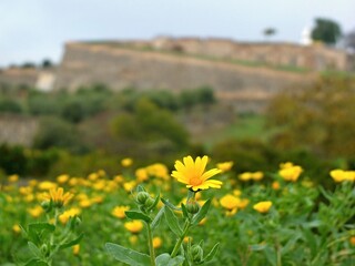 Obraz premium Historic city wall elements in Elvas, Alentejo - Portugal