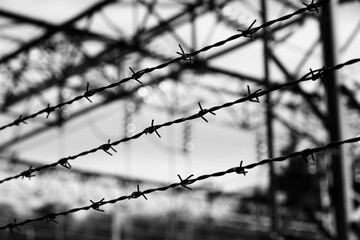 Barbed wire of a refugee camp with impossible escape in dramatic effect - obrazy, fototapety, plakaty