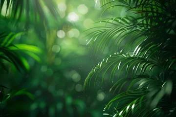 Poster Tropical exotic leaves background. Natural landscape with frame made of green plants in rainforest © Lazy_Bear
