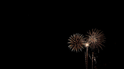 A dazzling display of fireworks lighting up the night sky, celebrating a festive summer evening