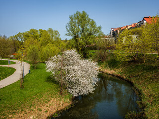Wiosna w Olsztynie. Rzeka Łyna. 