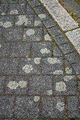Flechten auf dem Bürgersteig