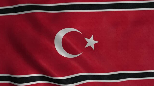 Free Aceh Movement flag video waving in wind. Realistic flag background