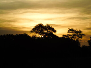 Fototapeta premium Sunset in the field / Atardecer en el campo