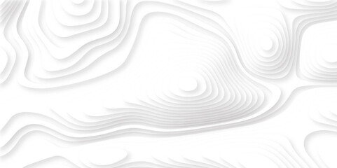 Abstract realistic papercut decoration textured with wavy layers. Abstract wavy line 3d paper cut white background.