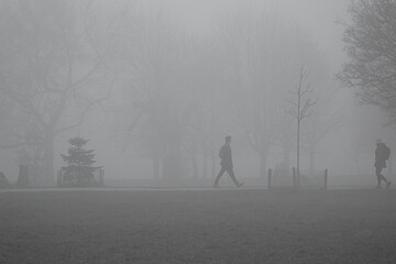 Foggy Morning walk in a park in London