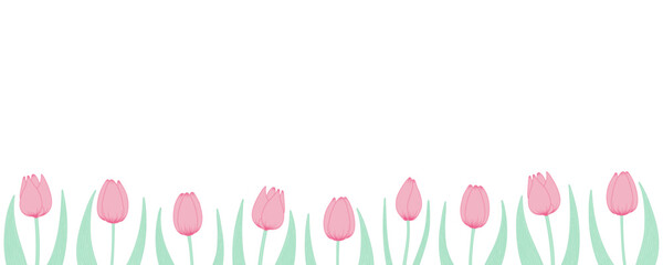 Tulip flowers horizontal border. Hand drawn line art illustration. Spring blossoms, pink blooms, decorative florals. Vector design. Mothers Day, Easter, seasonal, botanical drawing - 780767653