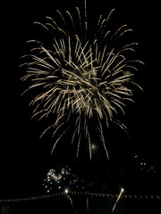 celebration fireworks on a summer night