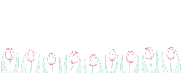 Tulip flowers horizontal border. Hand drawn line art illustration. Spring blossoms, pink blooms, decorative florals. Vector design. Mothers Day, Easter, seasonal, botanical drawing - 780769273