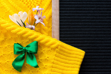 Spring primroses on a yellow knitted background. Blue bouquet of flowers