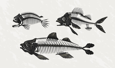 Fish skeleton. Bass bone skull logo with fin, vintage fauna monochrome black silhouette art of retro water animal. Underwater creature. Marine fishbone. Vector isolated design