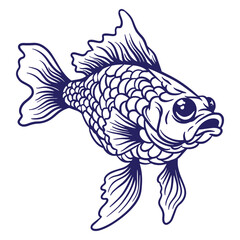 hand drawn ryukin goldfish illustration 