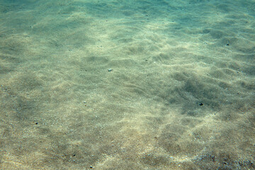 Underwater photo, shallow sea bottom floor seen from top, light refraction making rainbow glares on...